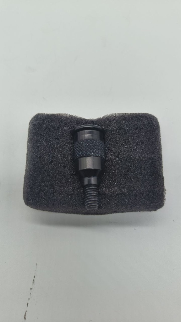 CNC Racing Sidestand Pin