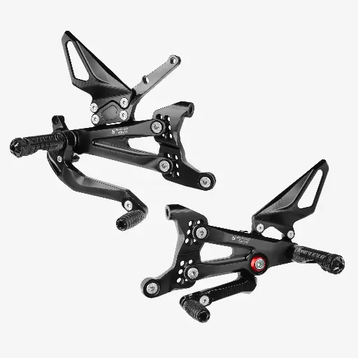 [DV4] Panigale V4 Bonamici Racing Rearset  Red Silver Customize 2019