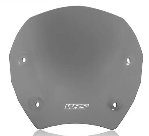[BM094FS] GSR1000 WRS-Windscreen BMW  2023-2024 Sport Con